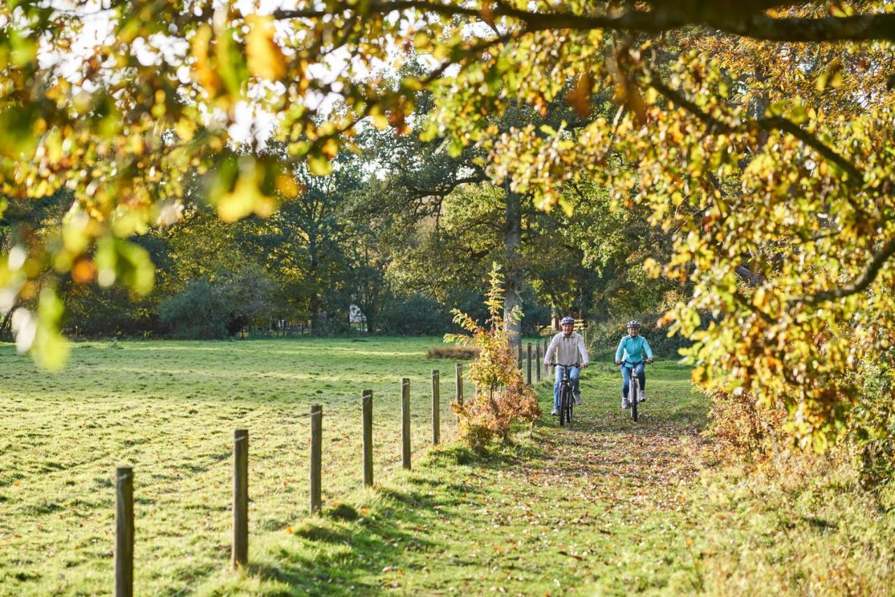 Whitemead Forest Park Hotell Lydney Exteriör bild