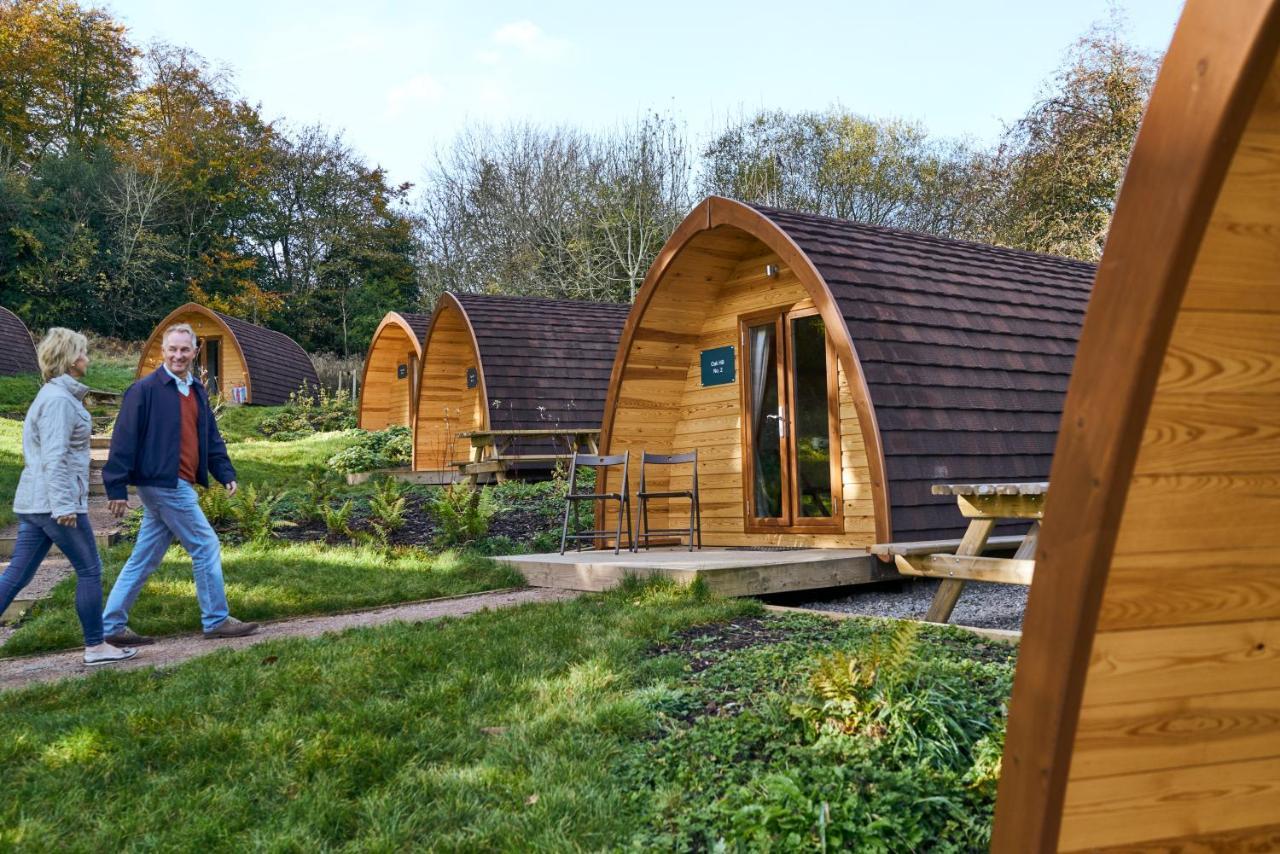 Whitemead Forest Park Hotell Lydney Exteriör bild
