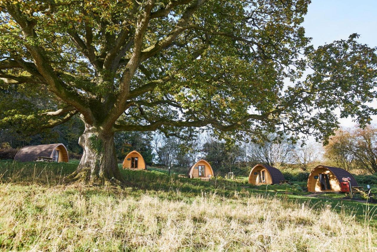Whitemead Forest Park Hotell Lydney Exteriör bild